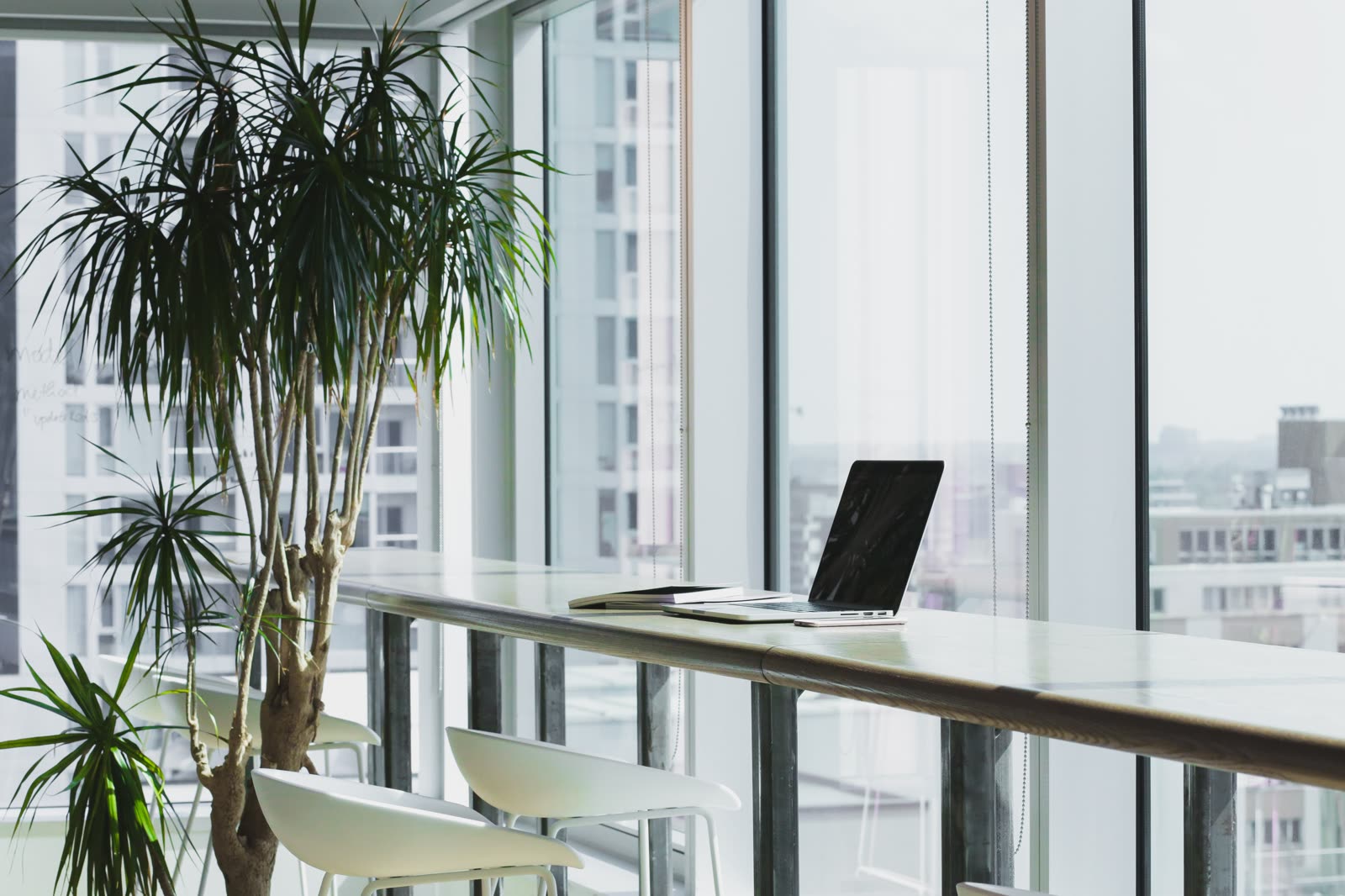 A bright office desk with a laptop and a plant
